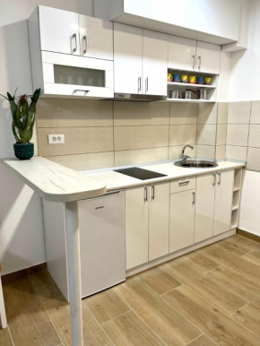 Apartman San
